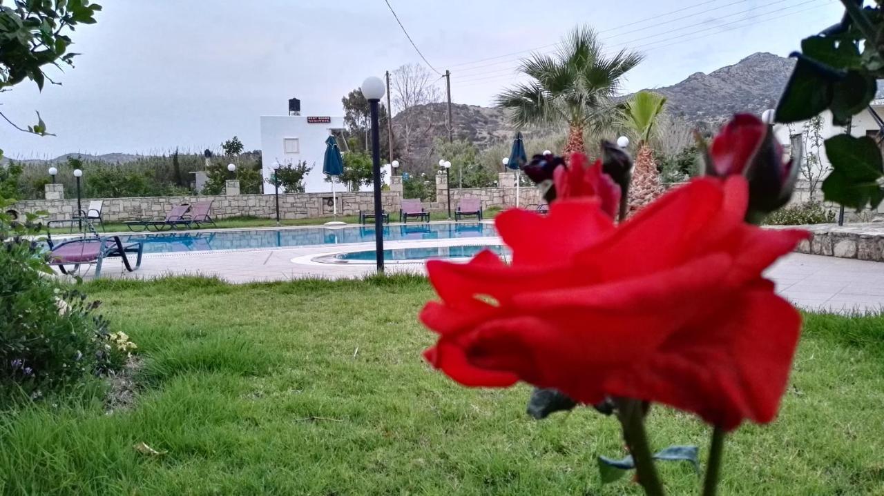 Dimitris Villa Hotel Матала Экстерьер фото