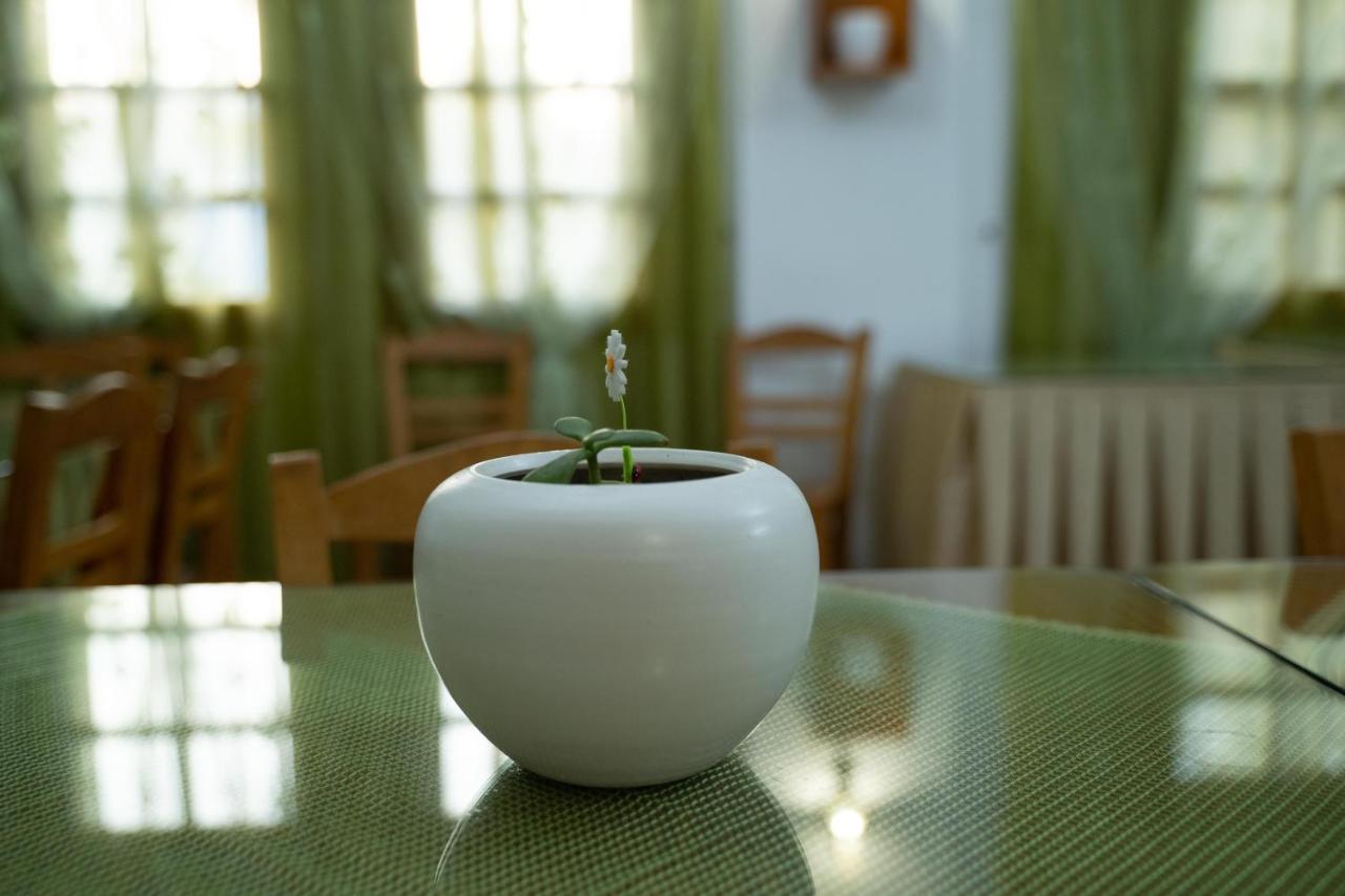 Dimitris Villa Hotel Матала Экстерьер фото